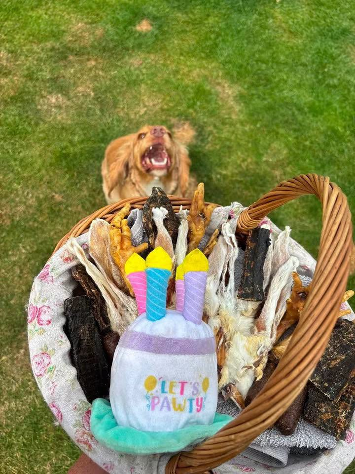 A basket of natural dog treats held up in front of an excited golden dog